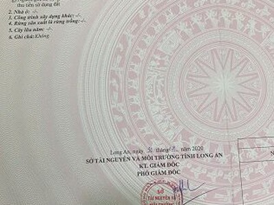 Cần bán nền đất hẻm 17 nguyễn văn rành, p7, tân an, tây ninh 0