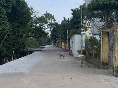 Đất chính chủ- giá đầu tư cần bán nhanh lô góc 2 mặt tiền tại huyện hải hậu, tỉnh nam định 3