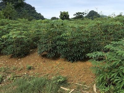 Đất nghỉ dưỡng rẻ nhất khu vực kim bôi 1