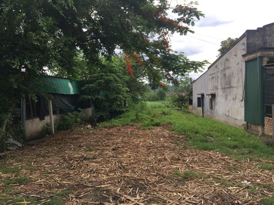 Đất đẹp - giá tốt - bán gấp lô đất tiềm năng tại xã quảng ngãi, cát tiên, lâm đồng 4