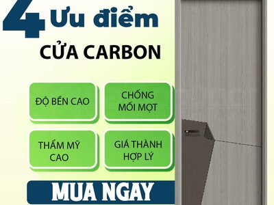 Cửa gỗ carbon 0