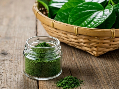 Lá Lốt Và Ứng Dụng Trong Sản Xuất Cao Dược Liệu, Bột Sấy Lạnh 0