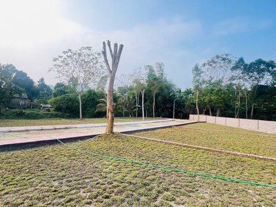  Đất Nghỉ Dưỡng Bám Suối   Gần Serena, Đón Sóng Sun Group   Từ 400tr 2