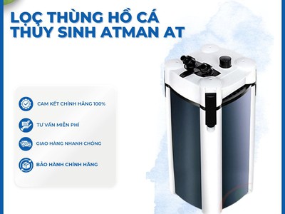 Bể 90 Nuôi Cá Gì Thì Lọc Thùng Nào Là Chuẩn Nhất 1