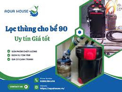 Bể 90 nuôi cá gì thì lọc thùng nào là chuẩn nhất 