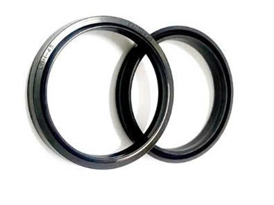 Phốt chắn bụi chính hãng Duy Lập 2