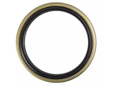 Phốt chắn bụi chính hãng Duy Lập 3