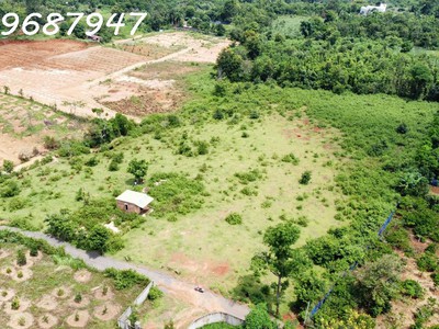 Lô đất đỏ 1.3 hecta - buôn ma thuột - 750tr/ sào 0