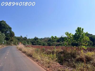 Siểu phẩm - đất mặt tiền quốc lộ 28, thị trấn quảng khê, dt 1000m2, giá đầu tư 1