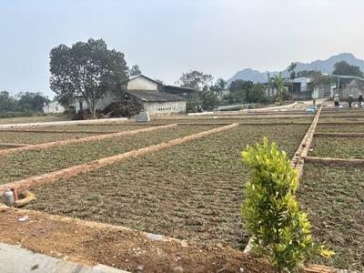 3xx triệu bạn muốn tiền đẻ ra tiền thì không nên bỏ qua bài viết này - sở hữu sổ hồng bđs 1