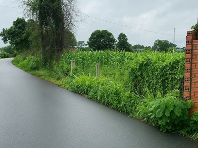 Chính chủ cần bán - đất sào hòa long    diện tích: 3.300 m   300 m  thổ cư, phủ hồng toàn bộ 2