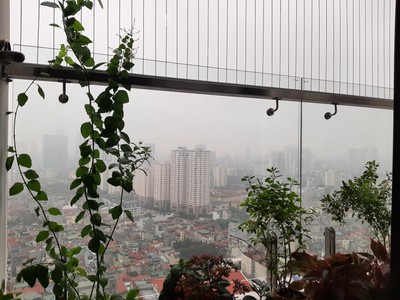 Cho thuê chung cư 110 Cầu Giấy, 60m, 1 PN đủ đồ 5