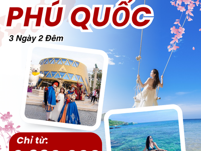 Đón Tết ở Côn Đảo: Bình yên, linh thiêng và đầy cảm xúc 1