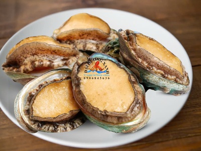 Cách Phân Biệt Bào Ngư Hàn Quốc Chất Lượng Cao 0