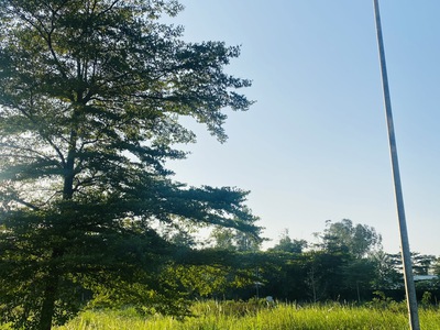 Bán lô đất phân lô tại Vân Hội City, Đồng Tâm, Vĩnh Yên, Vĩnh Phúc 1