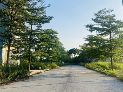 Bán lô đất phân lô tại Vân Hội City, Đồng Tâm, Vĩnh Yên, Vĩnh Phúc 2