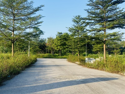 Bán lô đất phân lô tại Vân Hội City, Đồng Tâm, Vĩnh Yên, Vĩnh Phúc 3