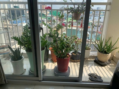 Bán căn hộ chung cư Khuông Việt Quận Tân Phú giáp quận 11 1