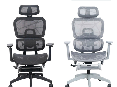 Ghế lưới công thái học hỗ trợ cột sống CR4337 tại HCM 0