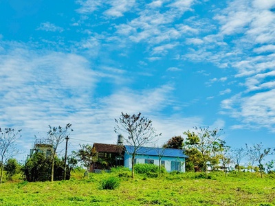 Làng Omm mở bán. view đồi chè Tâm Châu 0