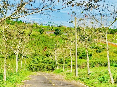 Làng Omm mở bán. view đồi chè Tâm Châu 1