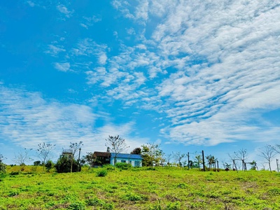 Làng Omm mở bán. view đồi chè Tâm Châu 2