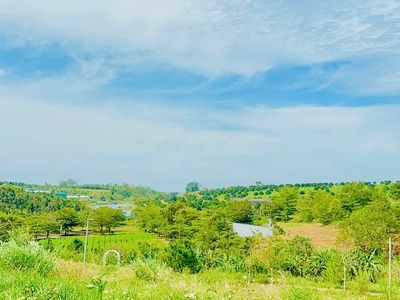 Làng Omm mở bán. view đồi chè Tâm Châu 5