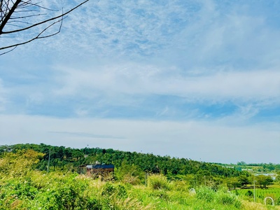 Làng Omm mở bán. view đồi chè Tâm Châu 6