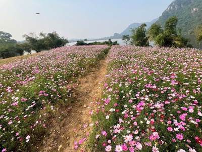 Cần bay nhanh lô đất dự án Utopia Hòa Bình 3