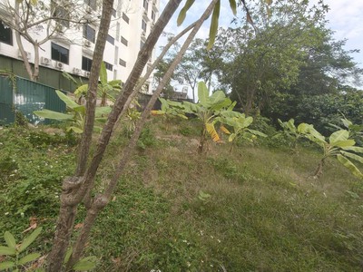 Đất kẹt, rau xanh 480m2, mt21m, container, 5.3 tỷ, kim chung, đông anh. 2