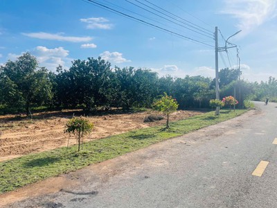  bán vườn bưởi   tặng kèm đất thổ cư, giá chỉ từ 300 triệu sở hữu ngay  0