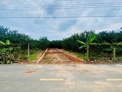  bán vườn bưởi   tặng kèm đất thổ cư, giá chỉ từ 300 triệu sở hữu ngay  1