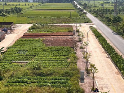 Đấu giá tân thái- hiền ninh-soc sơn-làn 1 giá chỉ 5xtr/m2. xung quanh nhiều dự án 4