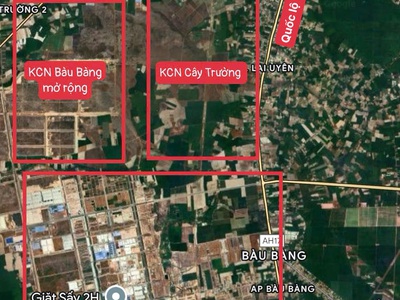  bán vườn bưởi   tặng kèm đất thổ cư, giá chỉ từ 300 triệu sở hữu ngay  3