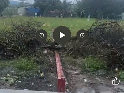 Cần bán đất thổ cư bà điểm-  hóc môn   tphcm - sổ riêng 3