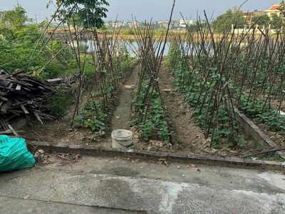 Cần bán đất full thổ cư  xã thạch khôi, tp hải dương, tỉnh hải dương 3