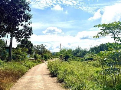 Bán 1,6 ha cao su   xã tân thành,huyện  bù đốp, bình phước 1