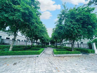 Chính chủ bán lk louis city đại mỗ, nam từ liêm. dt 96m x 5,5 tầng, lô góc. sđcc. giá 29 tỷ. lh: 1