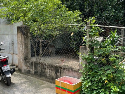 Bán lô đất tại đường trần văn mười, xã xuân thới đông, huyện hóc môn, tp hồ chí minh 1