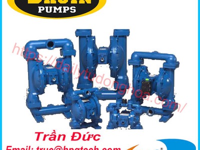Nhà cung cấp Bruin Pumps chính hãng 0