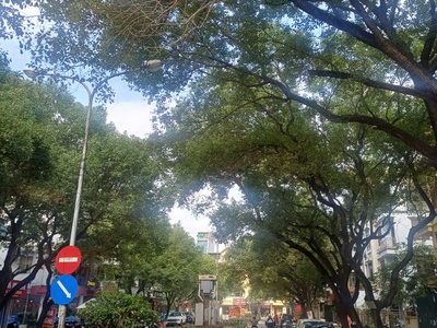 Liền kề Văn Quán - ô tô tránh - 2 mặt thoáng - view trường học - kinh doanh đỉnh - 72m2 - 22.5 tỷ 1