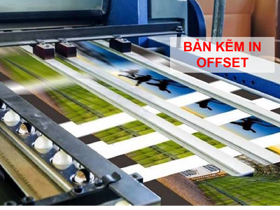 Quy Trình Nhập Khẩu Bản Kẽm In Offset 0