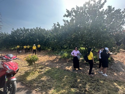  BÁN ĐẤT TẶNG VƯỜN BƯỞI ĐANG THU HOẠCH  Giá chỉ 3,6 triệu/m 1