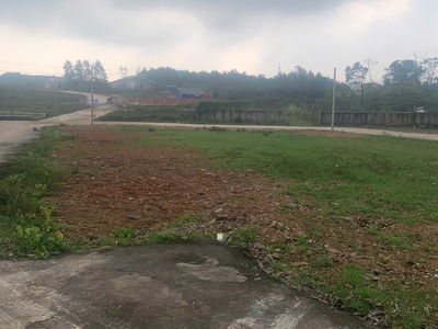 DA LE LAND   Chuẩn Mực Sống Tinh Hoa, Giá Trị Bền Vững Theo Thời Gian 0