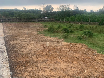 DA LE LAND   Chuẩn Mực Sống Tinh Hoa, Giá Trị Bền Vững Theo Thời Gian 3