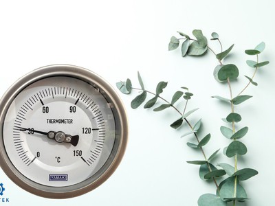 Tìm Hiểu Đồng Hồ Nhiệt Độ Yamaki Chân Sau 0 150 C   Giải Pháp Đo Nhiệt Ổn Định Cho Hệ Thống Cn 0