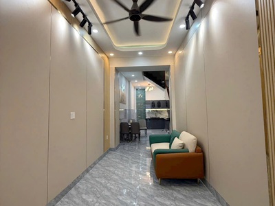 Mặt tiền dã tượng p.chánh hưng  p10q8 1