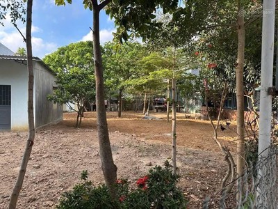 Chính chủ bán đất mặt tiền tl 639   cát tiến   phù cát 2