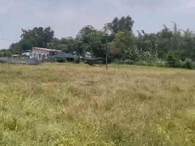 Đất sổ hồng 3587m2 - bình mỹ -củ chi- mt huỳnh minh mương,chỉ  32 tỷ. 4