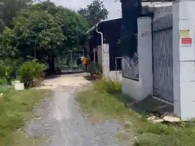 Đất sổ hồng 3587m2 - bình mỹ -củ chi- mt huỳnh minh mương,chỉ  32 tỷ. 1